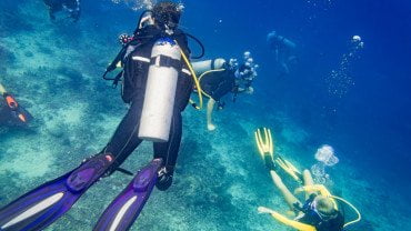 PADI - Scuba Diver - Group of divers
